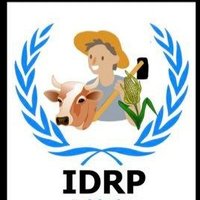 IDRP·RDC (@idrprdc) 's Twitter Profile