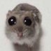 smn (@sympexk) Twitter profile photo smn (@sympexk) Twitter profile photo