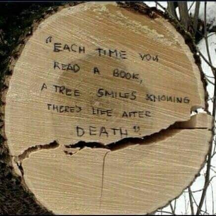 alisaid_45's profile picture. 