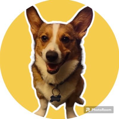 Corgilover48102's profile picture. My name is Wayde and I love all my fans❤️🐾  let’s get to 1000 followers so I can get a toy!!!!🧸