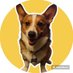 Wayde The Corgi🐾🐶 (@corgilover48102) Twitter profile photo Wayde The Corgi🐾🐶 (@corgilover48102) Twitter profile photo