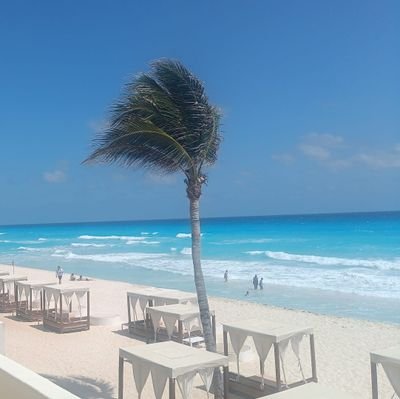 ivan14costa's profile picture. 