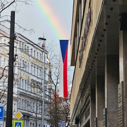 yzokan's profile picture. Adults suck, then you are one.