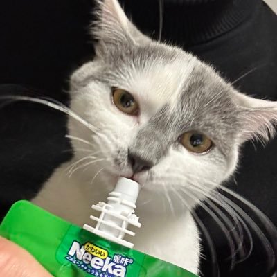 Hecried269318's profile picture. 
