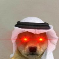 folie 💥 (@follegoat) 's Twitter Profile Photo