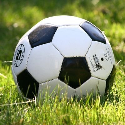 👑 Titelträger OST: Greifswalder FC                     
👑 Titelträger SACHSEN: FC Erzgebirge Aue