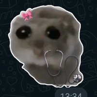 C sanırım (@fleilech) 's Twitter Profile