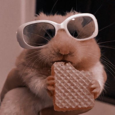 moranguetelover's profile picture. 