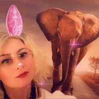 @sunriseshots (@sunriseshots) 's Twitter Profile