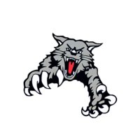 Shelby Valley Wildcats Football (@shelbyvalleyfb) 's Twitter Profile