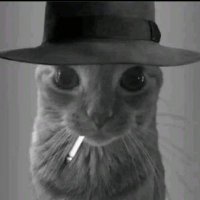 OppenCat (@oppencat) 's Twitter Profile Photo