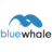 Blue Whale
