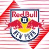 NYRBII's profile picture. The Official MLS NEXT Pro affiliate of @NewYorkRedBulls 🏆 2016 USL Championship Final Winners #NYRBII #TheFutureIsHere