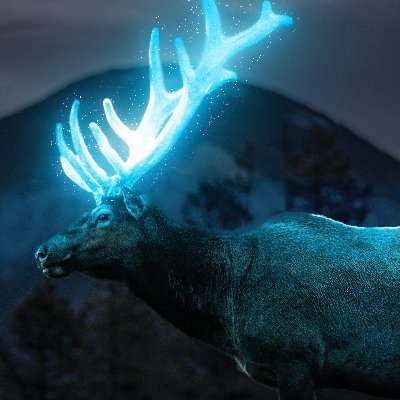 kebemenu's profile picture. 