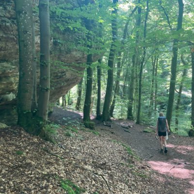 Adfectistarz's profile picture. 