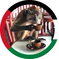 irtimid (@irtimid12) 's Twitter Profile