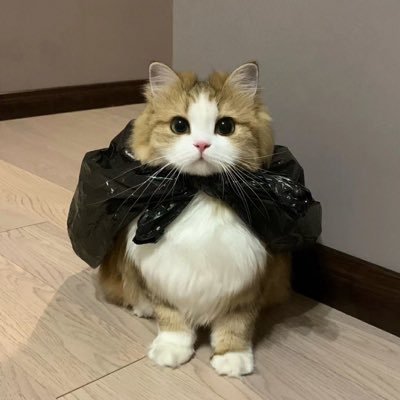 oth3rlanguage's profile picture. bkk / 99's