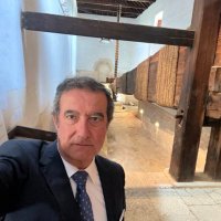 Alvaro Olavarria (@alvaroogito) 's Twitter Profile