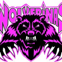 Wolverinas Basketball U17(@wolverinas2026) 's Twitter Profile Photo