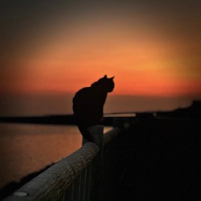 ggyuyunnn's profile picture. 長岡ゼミ2年 #melc2025