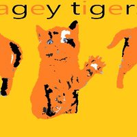 cagey tigers(@Domcole999Dom) 's Twitter Profile Photo