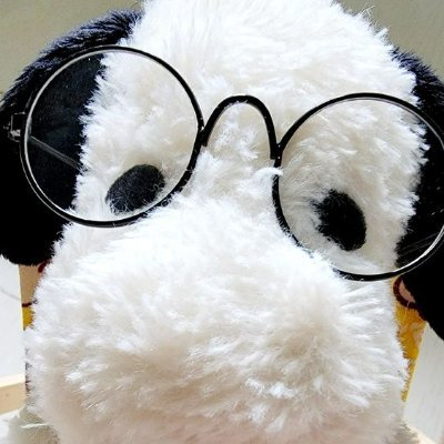 Nikaさんのプロフィール画像