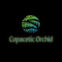 Copacetic Orchid(@CopaceticOrchid) 's Twitter Profile Photo