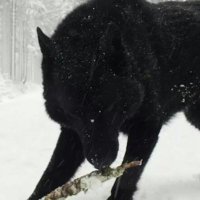 Jean (@jeanfaycel) 's Twitter Profile