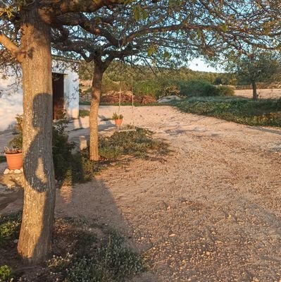 Ambientòloga a secundària. Biologia, Geologia i altres cosetes.