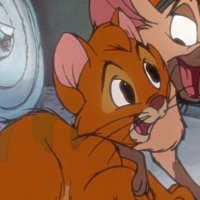 `꒰ 𝓞𝑙𝑖𝑣𝑒𝑟 🐈 ꒱ ˑ 𓂃⊹ (@localstreettcat) 's Twitter Profile Photo