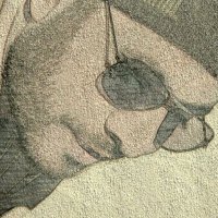 سليمان بن صالح العجلان (@sulaimanalajlan) 's Twitter Profile Photo سليمان بن صالح العجلان (@sulaimanalajlan) 's Twitter Profile Photo