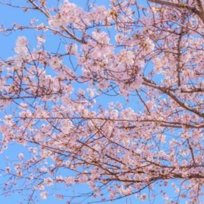 桜好き🌸 A lover of art who believes life is art – and that true artists are living art in this world.