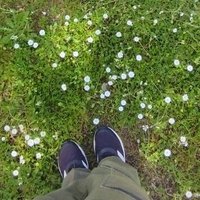 albaa (@4lbaaaa) 's Twitter Profile