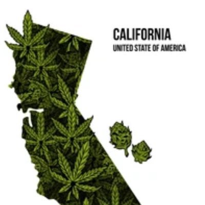 CaliforniaBuds_'s profile picture. California is a state known for 🔥buds