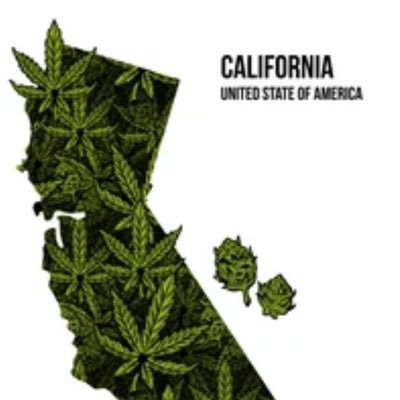 CaliforniaBuds_ Profile Picture