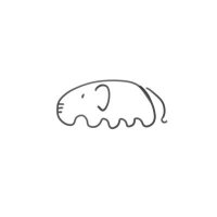 どんどび (@boron1027) 's Twitter Profile