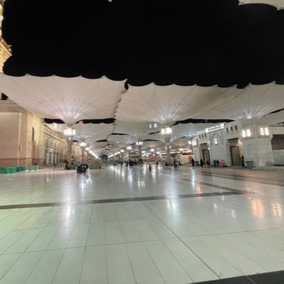 user1038464839's profile picture. 