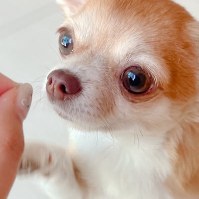 huahuaroki's profile picture. 