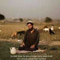 Zalmai Khan (@zalmainasery) 's Twitter Profile