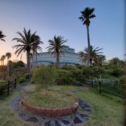 Muchomorimori's profile picture. ラテンダンスが好きです。
気持ちいいカフェで過ごすのも。