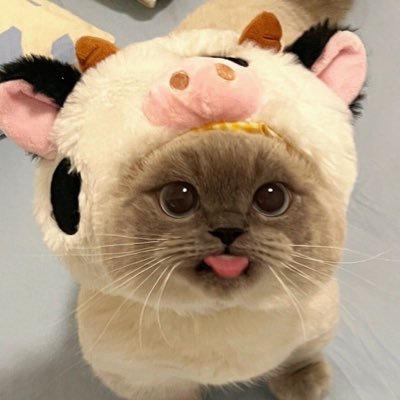 Y.Tさんのプロフィール画像