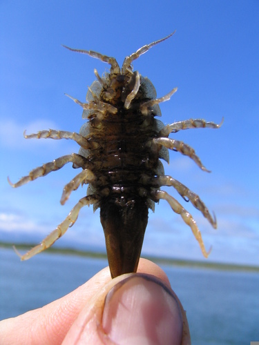 PeterJuddClark's profile picture. -- father, husband, teacher, and perpetual student --