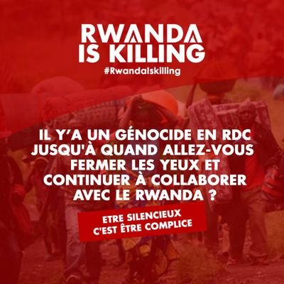 l'Afrique a la forme d'un revolver dont la gâchette est placée au Zaïre (RDC). F. F