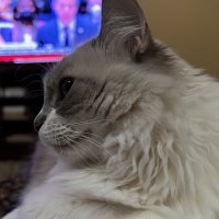 haroldo valadao (@haroldovaladao) 's Twitter Profile Photo haroldo valadao (@haroldovaladao) 's Twitter Profile Photo