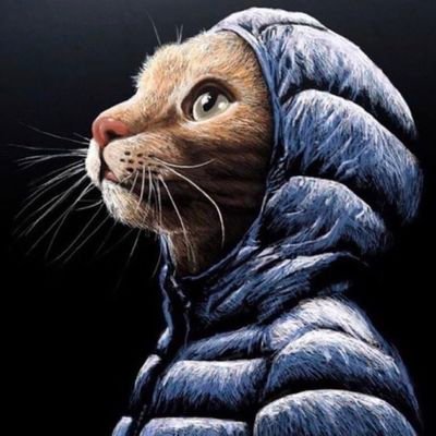 PsyQoBronx's profile picture. @OfficialPsyQo