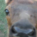 Aimee Freeman - @aimee_m_freeman - Twitter