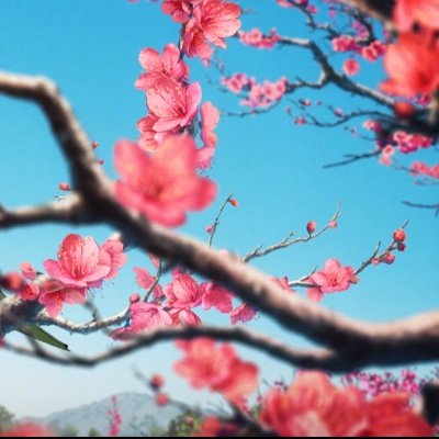 9l7FpacRpy64304's profile picture. 