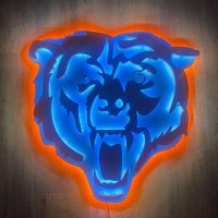 BearsFan🐻⬇️🏈(@DABearsFan2006) 's Twitter Profileg