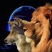 cesar agusto diaz rodriguez (@cesaragust35468) Twitter profile photo cesar agusto diaz rodriguez (@cesaragust35468) Twitter profile photo