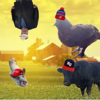 NOT JAYHAWKER FARMER | RCJH | trump is my president | muck fizzou | fight me libs | mahomes is the goat | Bobby Witt enjoyer | Kansas baseball believer